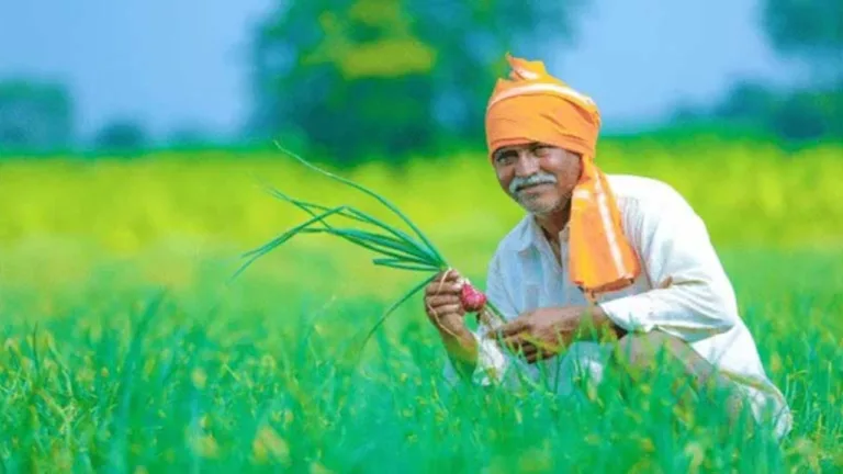 PM Kisan Update: Do this work by June 30, Big news for farmers