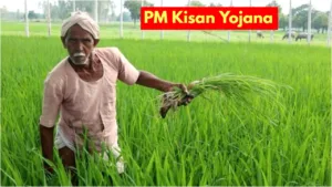 PM Kisan Yojana – Farmers to Receive ₹2,000 Installment by This Date! Check Update