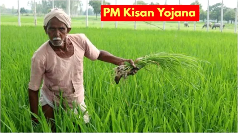 pm kisan yojana