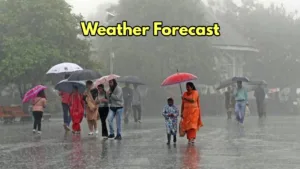 weather forecast