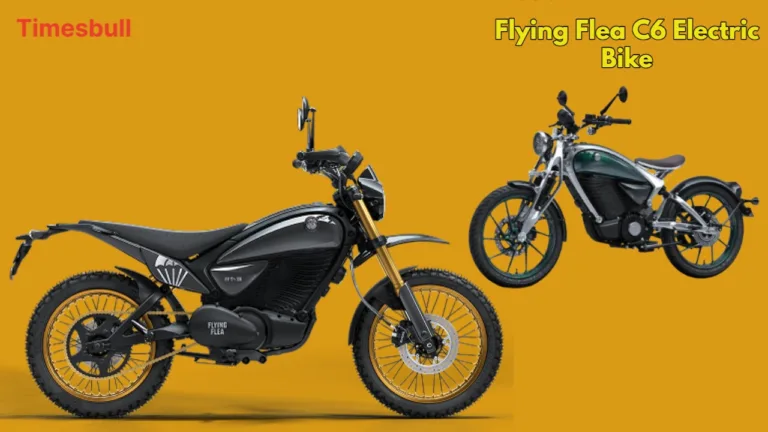 Flying Flea C6 Electric Bike