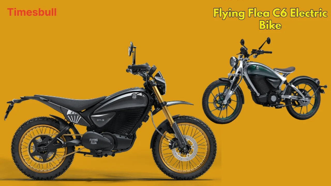 Flying Flea C6 Electric Bike