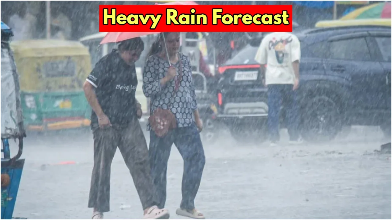 Heavy Rain Alert 