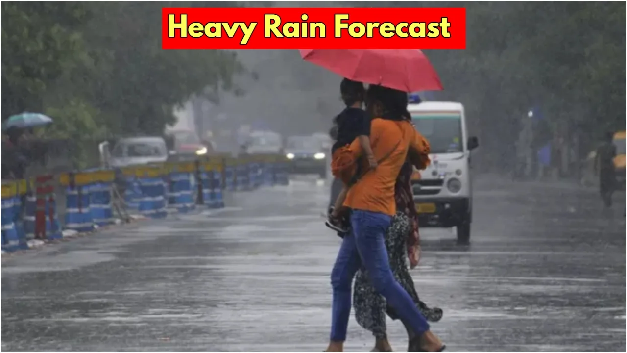 Heavy Rain Alert