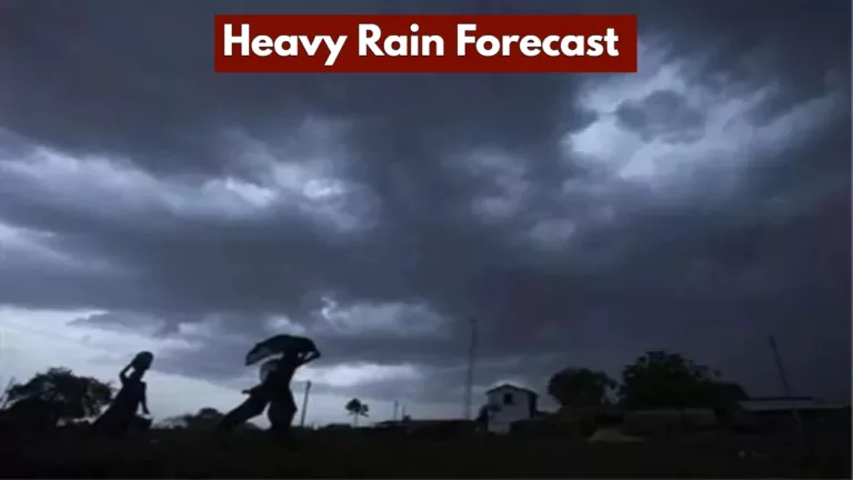 Heavy Rain Forecast