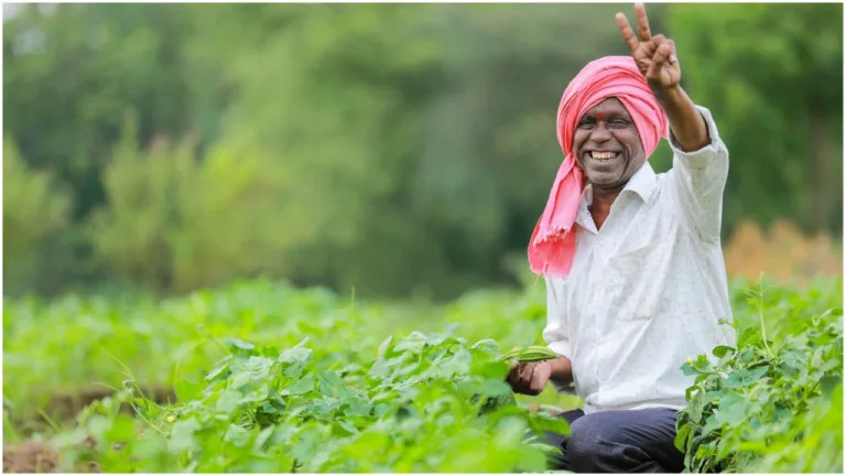 When Will Farmers Get the Benefit of the Next Rs 2000 Instalment? Check Update