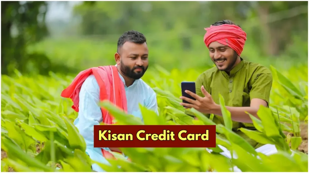 KCC Update – Land Will Be Auctioned for Not Repaying the Kisan Credit Card! Know the Important Rules
