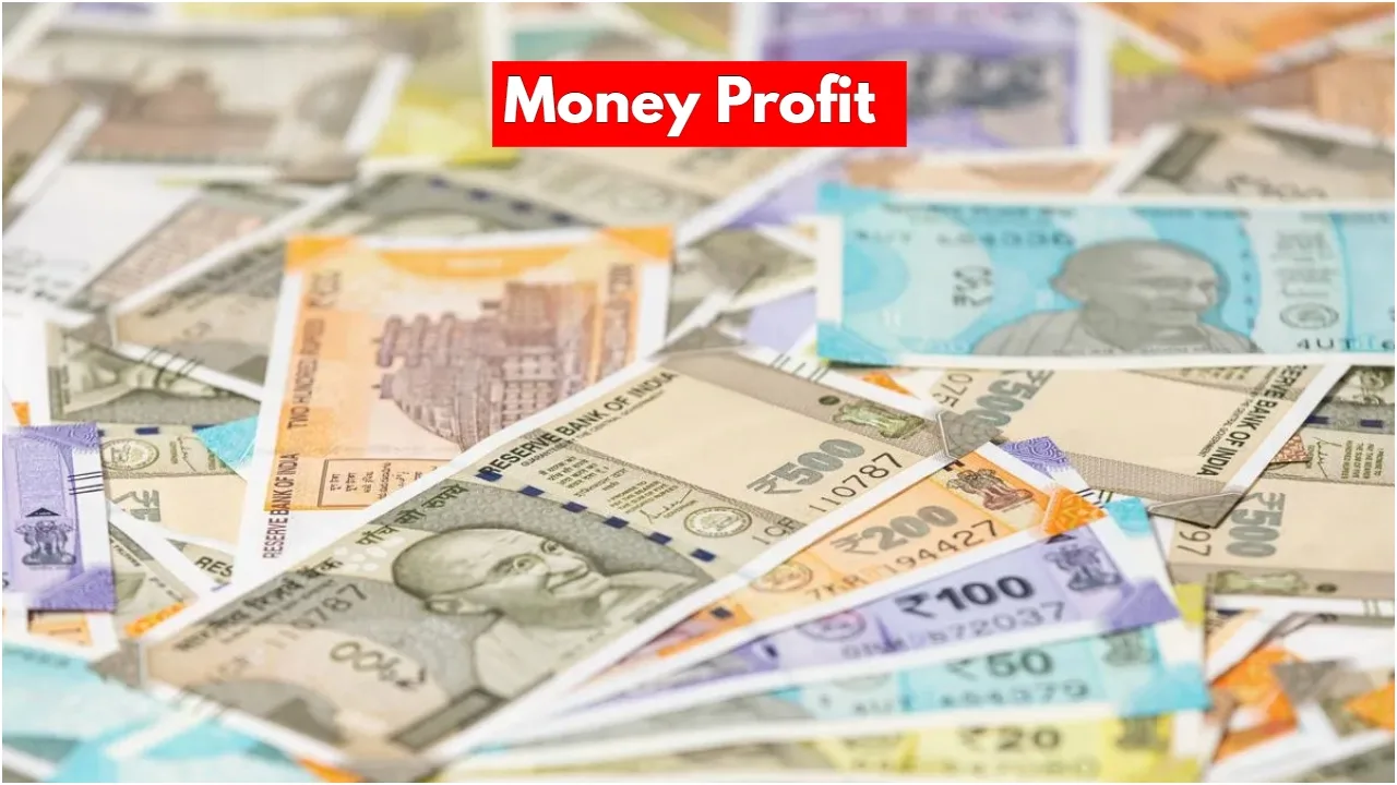 Money Profit