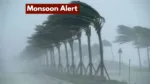 Monsoon Alert