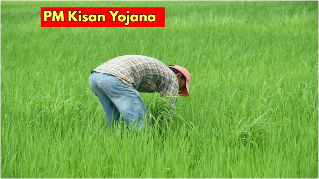 Pm Kisan Yojana