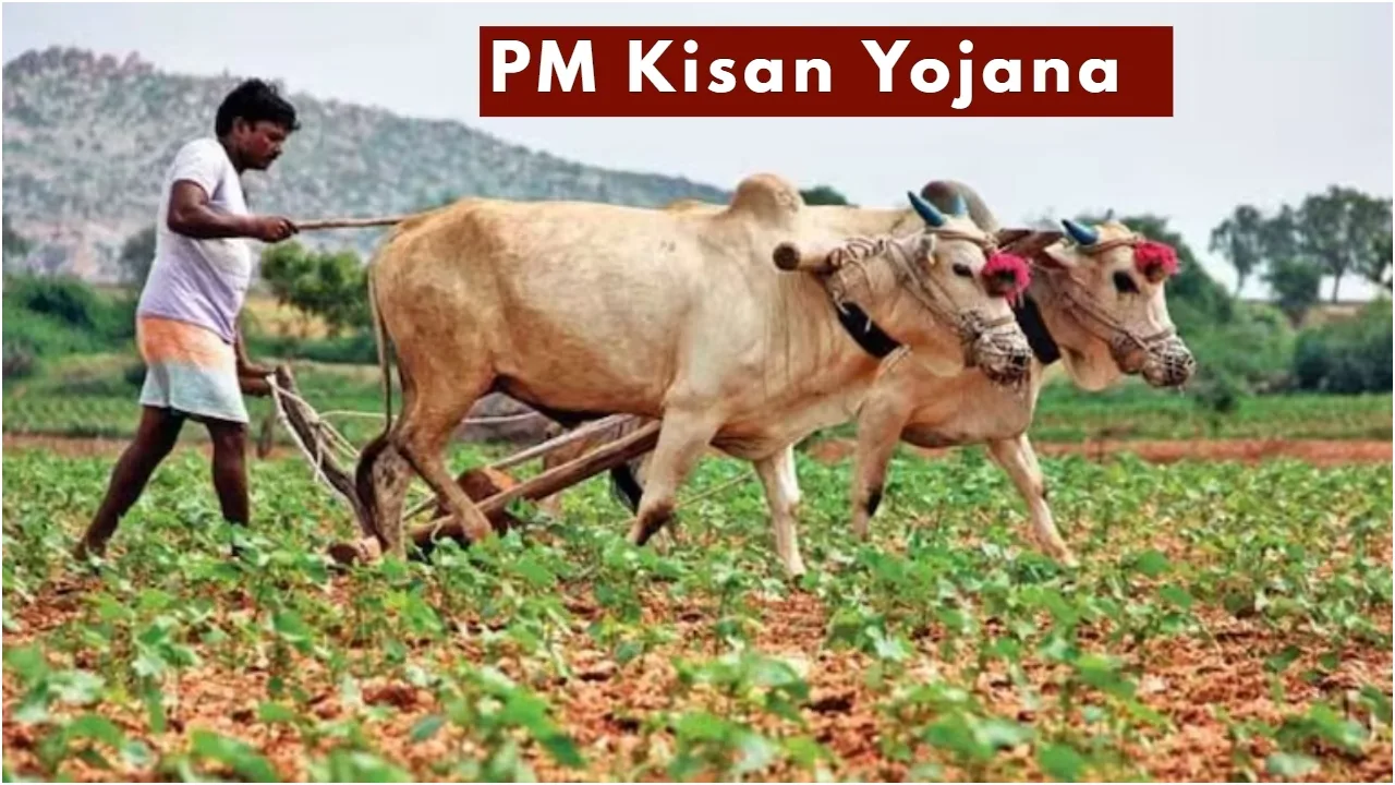 PM Kisan Yojana