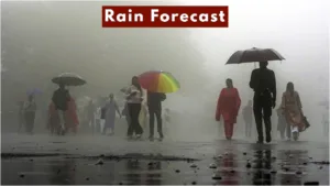 Rain Forecast