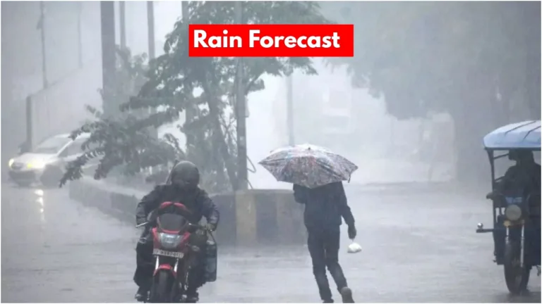 Rain Forecast