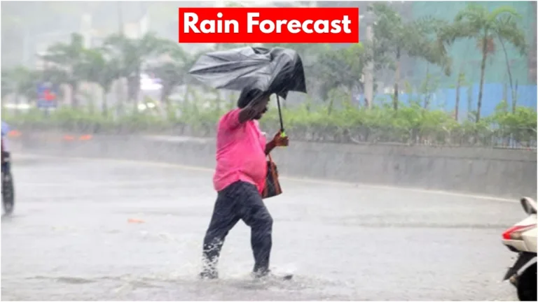 Rain Forecast
