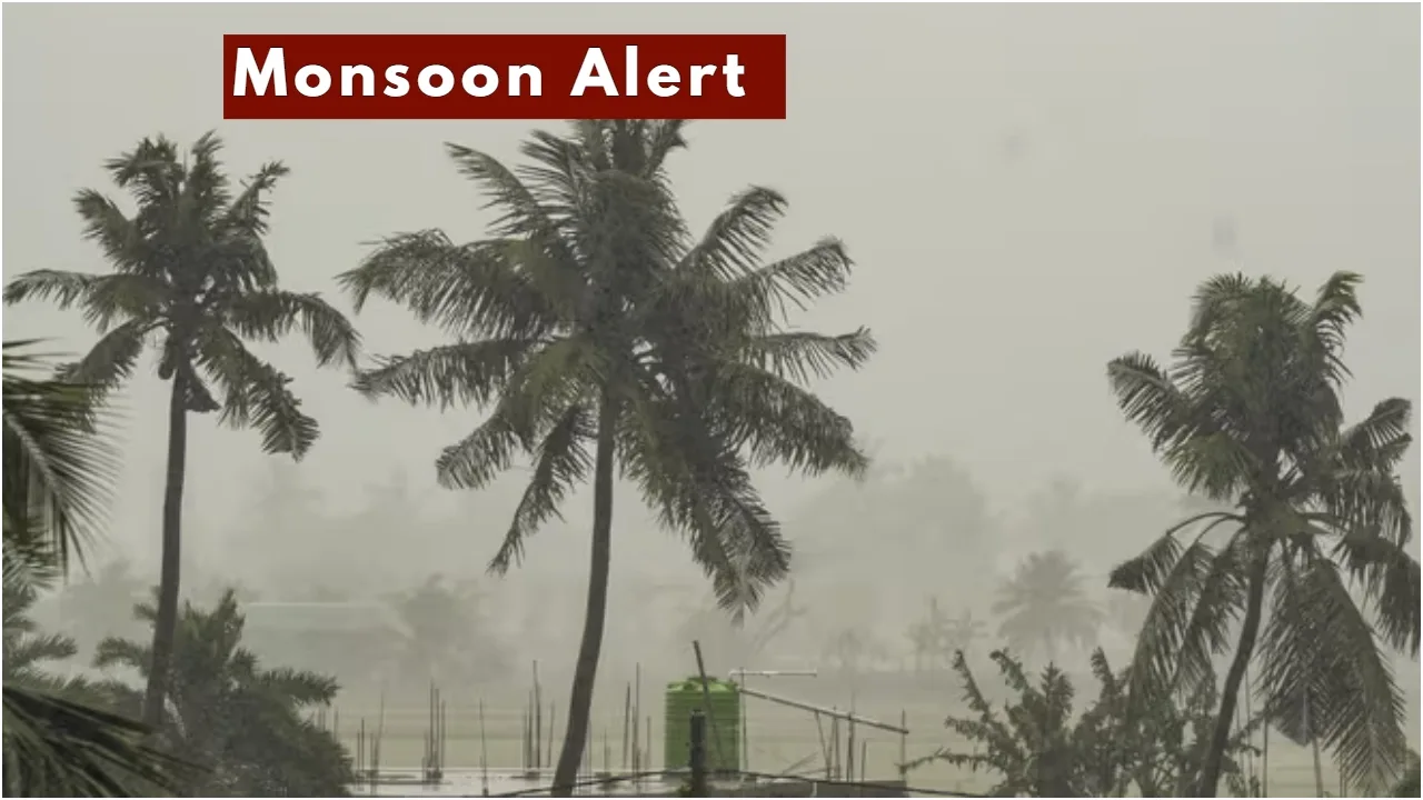 Times Bull - Politics - News Image