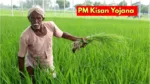 Pm Kisan