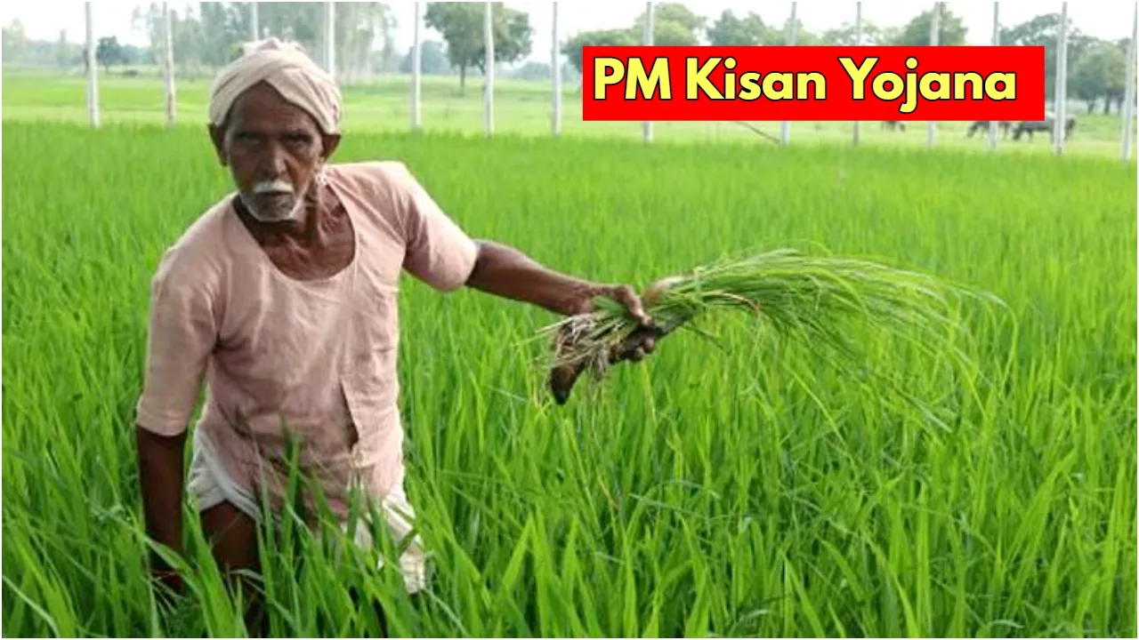 Pm Kisan