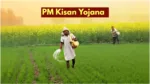 pm kisan yojana