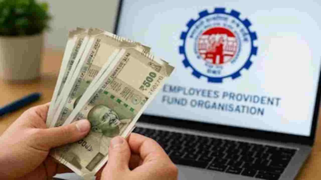 EPFO– Exit Date Update Mandatory to Avoid PF Interest Loss, Know the Rest - Epfo | TIMESBULL