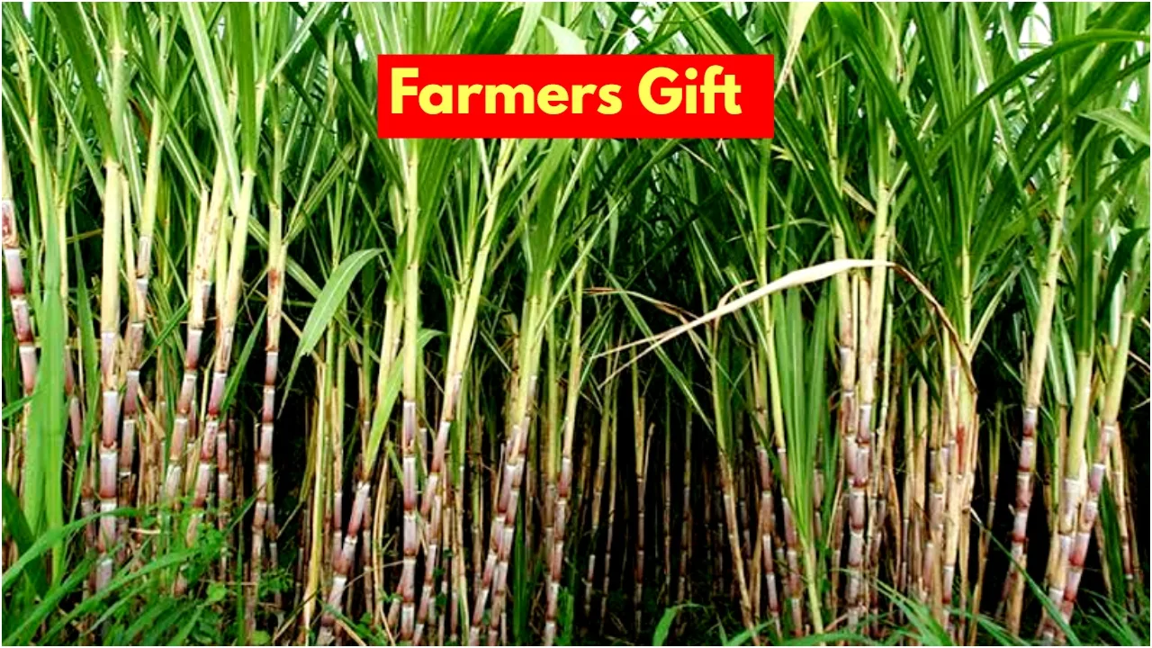 Farmers Gift