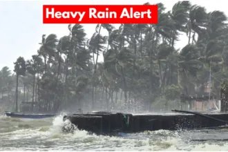 Heavy Rain Alert