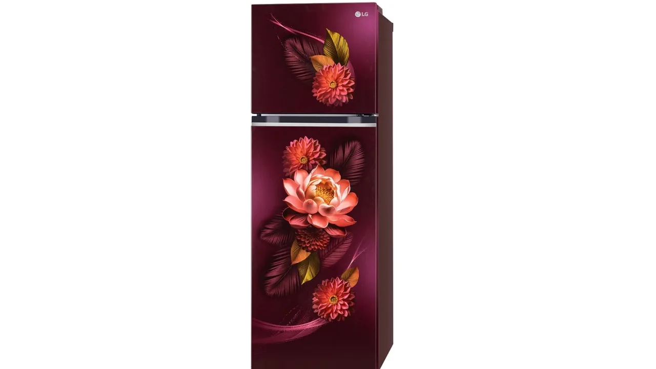 LG 272L 3 Star Frost-Free Smart Inverter Double Door Refrigerator – Gets Massive Discount During Online Sale - Lg 272l 3 Star Frost Free Smart Inverter Double Door Refrigerator | TIMESBULL