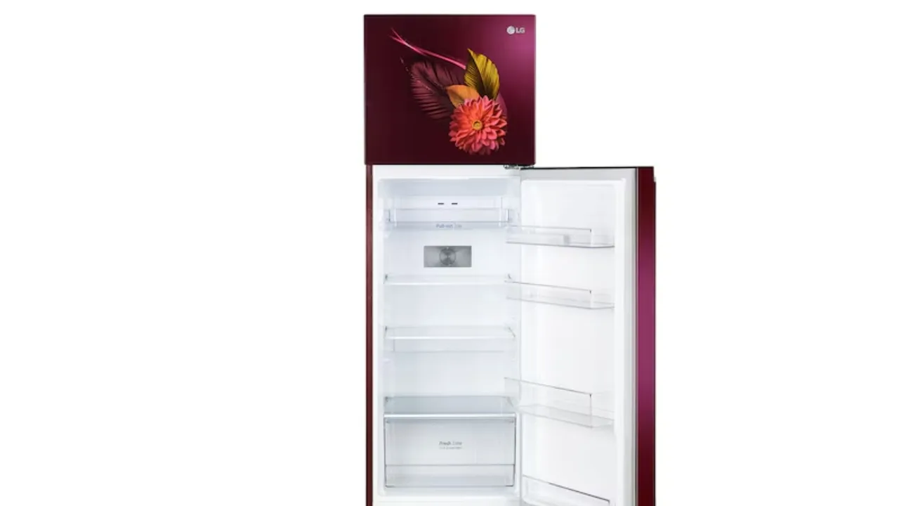 LG 272L 3 Star Frost-Free Smart Inverter Double Door Refrigerator 