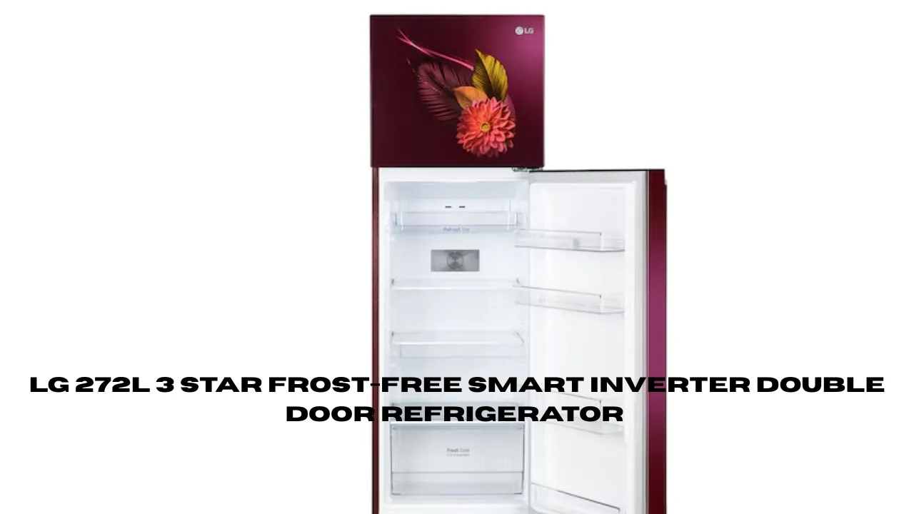 LG 272L 3 Star Frost-Free Smart Inverter Double Door Refrigerator