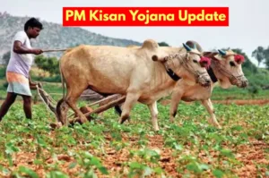 PM Kisan Yojana: किसानों
