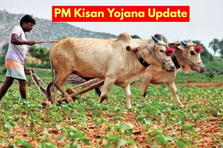 PM Kisan Yojana: किसानों को अब मिलेगी 2000 रुपये की अगली किस्त? लल्द कराएं यह काम