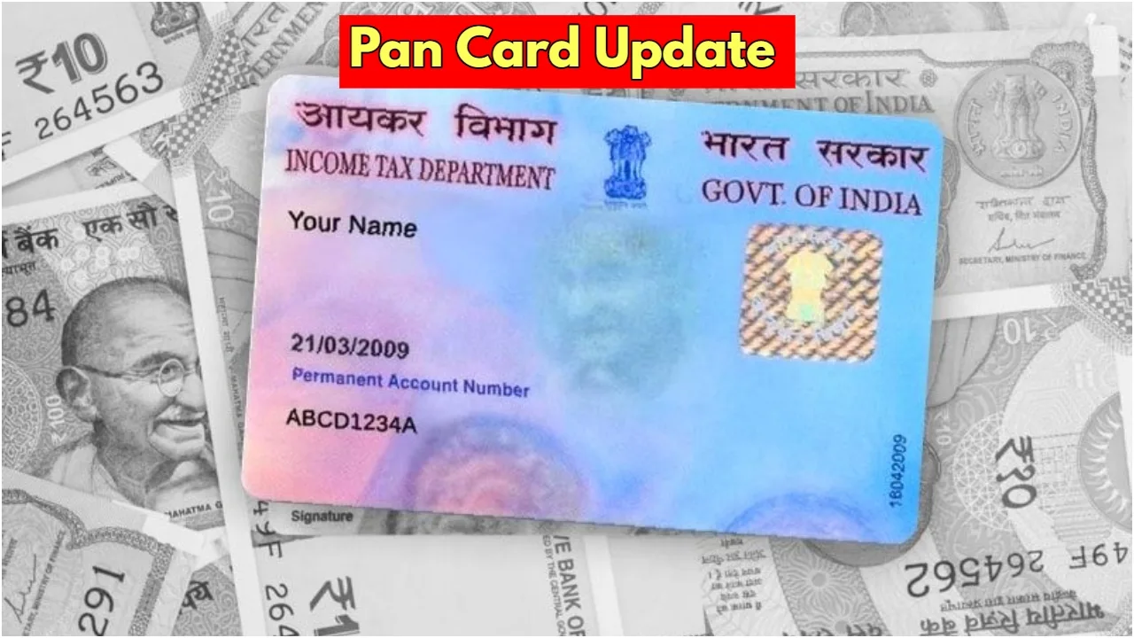 Pan Card: इस गलती से बन जाएंगे कंगाल! बैंक भी घोषित कर देंगे डिफॉल्टर - Pan Card | TIMESBULL