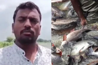 fish farming business
