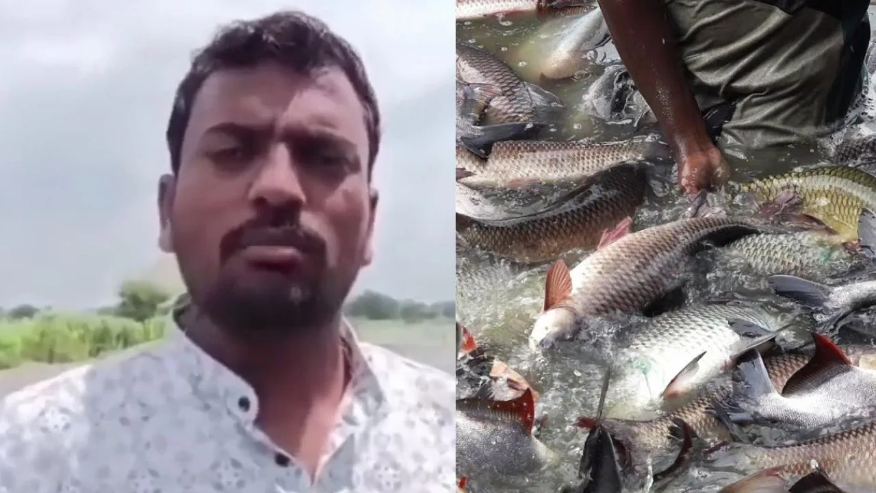 fish farming business