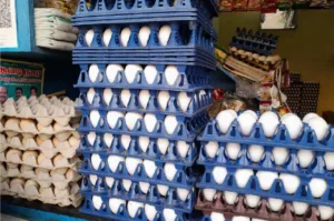 Egg Price- Egg Prices