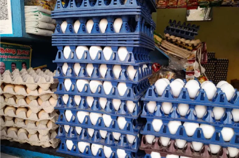 Egg Price- Egg Prices Falling in Your Area Too? Check Now