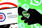 EPFO Service: Know your PF balance by typing Hello on WhatsApp, Learn the Details - Epfo Whatsapp | TIMESBULL