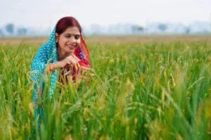 PM Kisan- When Will