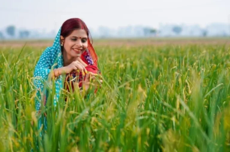 PM Kisan- When Will PM Kisan 23rd Installment Be Released? Know ASAP