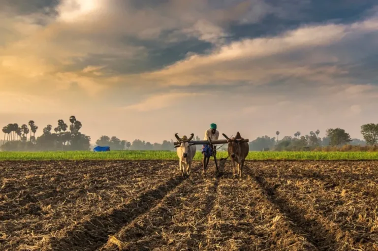 Government Schemes for Farmers- These 8 schemes are very useful for farmers