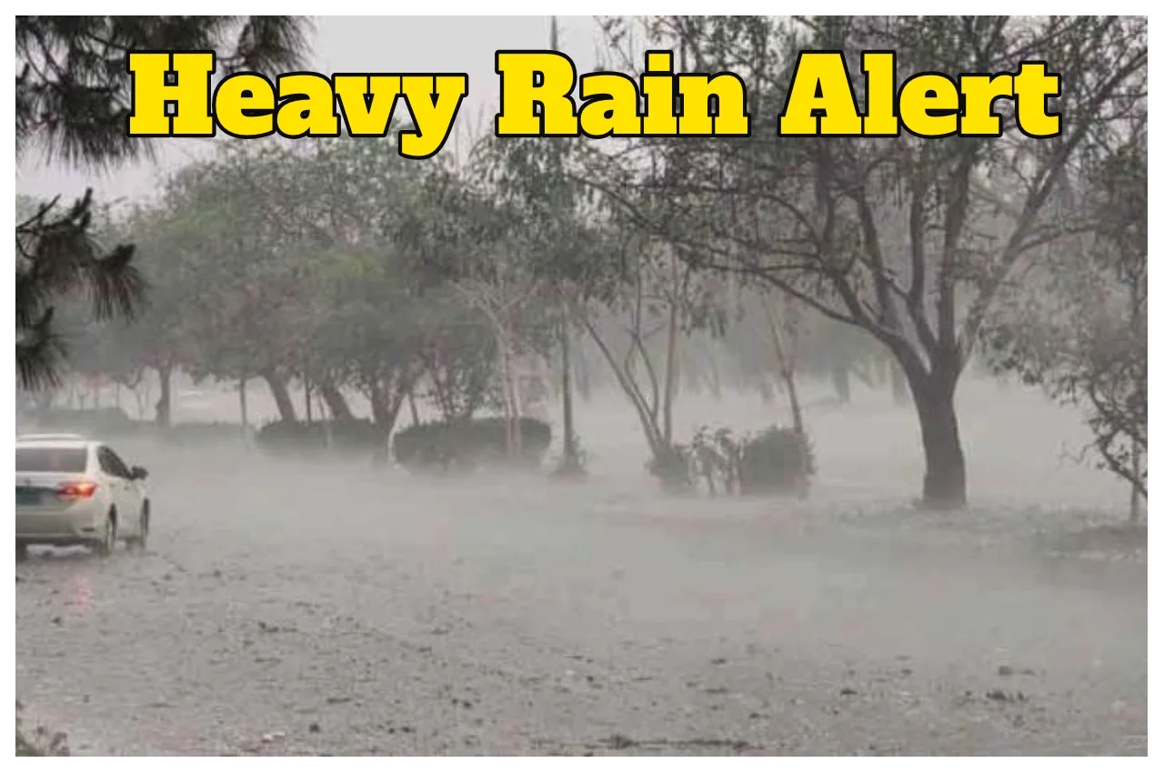 Weather Warning – Severe Heatwave in Delhi-Punjab-UP, Heavy Rain in 15 States,  Full State-Wise Forecast - Heavy Rain Alert (1) | TIMESBULL