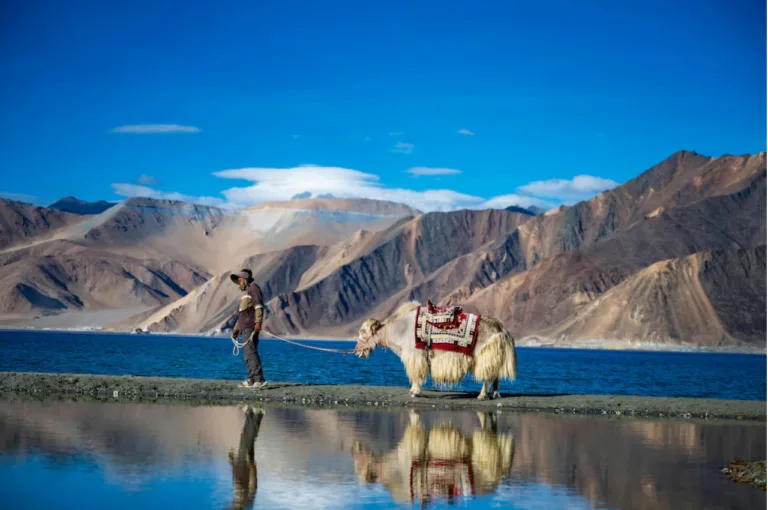 IRCTC Tour- Dream Ladakh Trip is Here! Visit Leh, Sham Valley, Turtuk & Pangong in Less Price