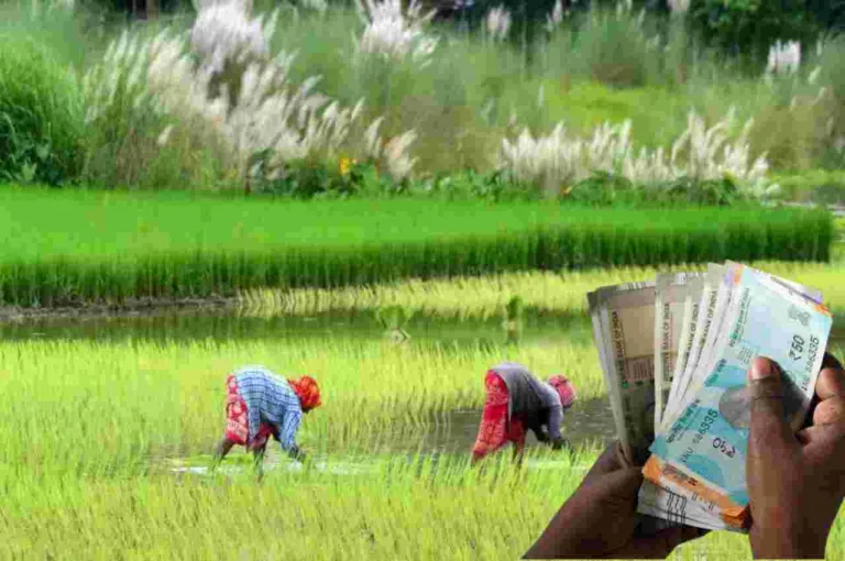 PM Kisan 23rd Installment: Farmers to get Rs 2000 in June? Know Here