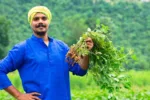 pm kisan