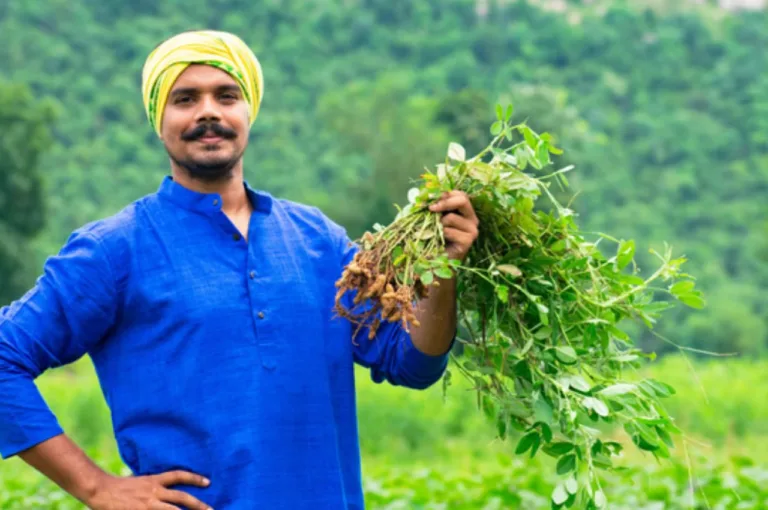 PM Kisan 23rd Installment to Release Soon, who will get the benefit and who will not? Know Here