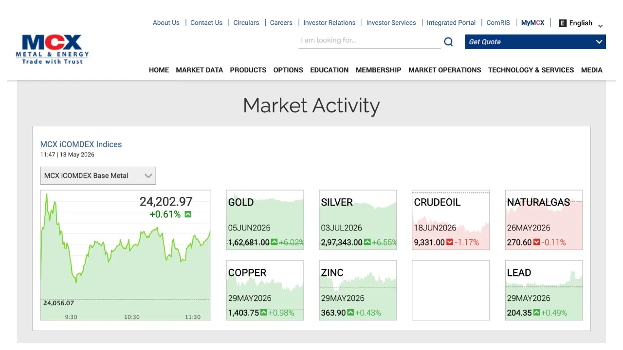 Silver Rate Mcx | TIMESBULL