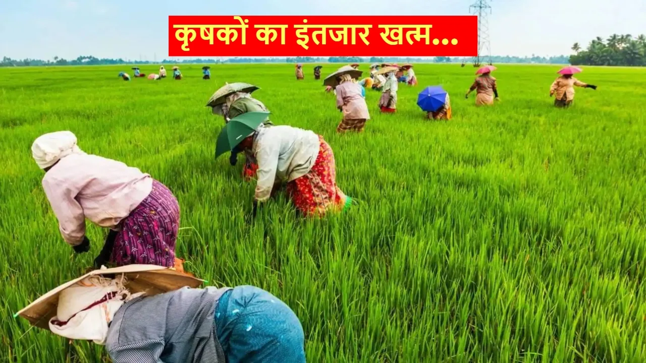 PM Kisan Yojana: किसानों को 2000 रुपये की अगली किस्त पर आया बड़ा अपडेट! जल्द कराएं यह काम - जस | TIMESBULL