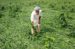 Delhi Government: Farmers Hit