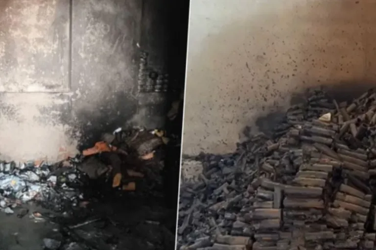Jaipur Factory Fire: Blast in Firecracker Factory Causes Panic, Three Killed