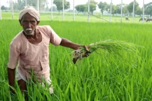 PM Kisan Yojana: These