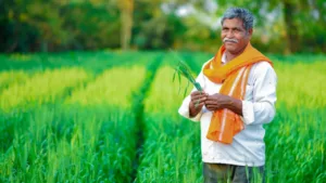 PM Fasal Bima Yojana: